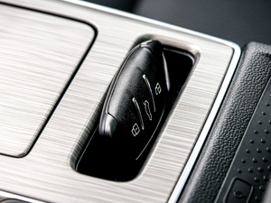 2020PLUS 300TGI Ԅ(dng)Alis g