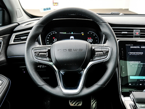 2020PLUS 300TGI Ԅ(dng)Alis P