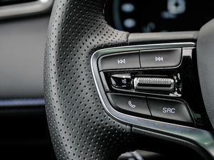 2020PLUS 300TGI ԄAlis п؅^(q)