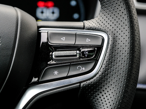 2020PLUS 300TGI ԄAlis п؅^(q)