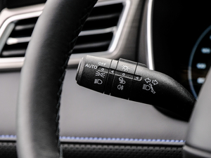 2020PLUS 300TGI ԄAlis п؅^(q)