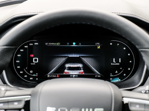 2020PLUS 300TGI Ԅ(dng)Alis x