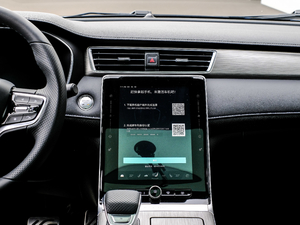 2020PLUS 300TGI Ԅ(dng)Alis п؅^(q)