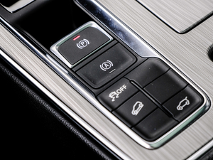 2020PLUS 300TGI Ԅ(dng)Alis п؅^(q)