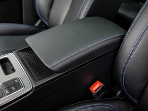 2020PLUS 300TGI Ԅ(dng)Ali(gu)s g