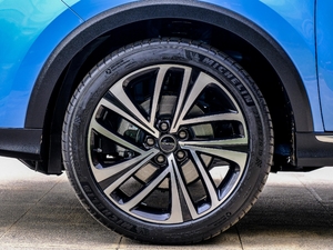 2020PLUS 300TGI ԄAlis ݆Ȧ