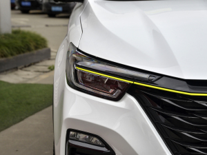 2021PLUS 300TGI ԄAliŞs (ji)^