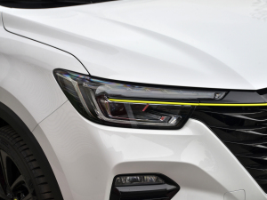 2021PLUS 300TGI ԄAliŞs (ji)^