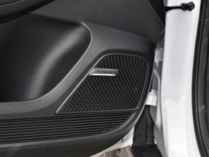 2021PLUS 300TGI ԄAliŞs g