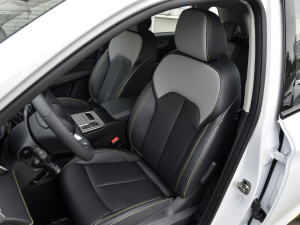 2021PLUS 300TGI ԄAliŞs {