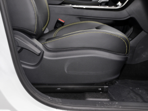 2021PLUS 300TGI ԄAliŞs g