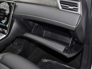 2021PLUS 300TGI ԄAliŞs 