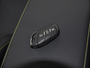 2021PLUS 300TGI ԄAliŞs ܇耳