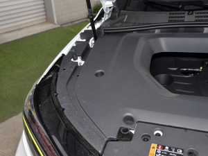 2021PLUS 300TGI ԄAliŞs 