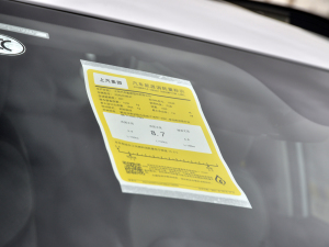 2021PLUS 300TGI ԄAliŞs ŲͺĘʾ