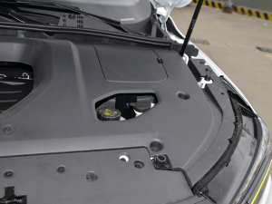 2021PLUS 300TGI ԄAliŞs 