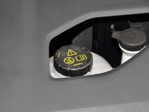 2021PLUS 300TGI ԄAliŞs 