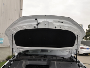 2021PLUS 300TGI ԄAliŞs 