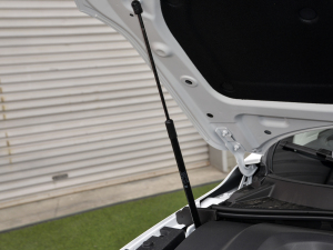 2021PLUS 300TGI ԄAliŞs 