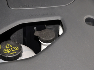 2021PLUS 300TGI ԄAliŞs 