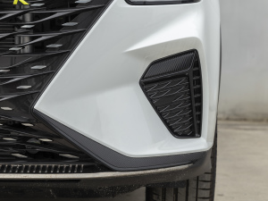 2021PLUS 330TGI ԄӇ ǰF