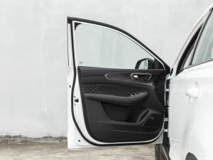 2021PLUS 330TGI ԄӇ {λ܇T