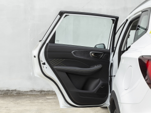 2021PLUS 330TGI ԄӇ ܇T