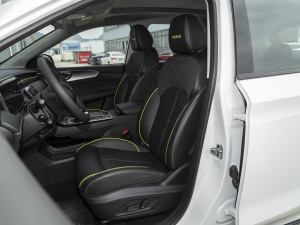 2021PLUS 330TGI ԄӇ ǰſg