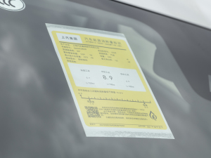 2021PLUS 330TGI ԄӇ ŲͺĘ(bio)ʾ