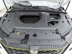 2021PLUS 330TGI ԄӇ l(f)әC