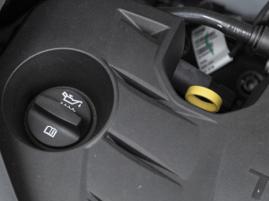 2021PLUS 330TGI ԄӇ 