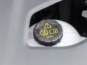 2021PLUS 330TGI ԄӇ 