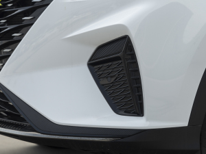 2021PLUS 330TGI ԄӇ ^