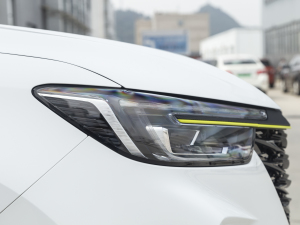 2021PLUS 330TGI ԄӇ ^