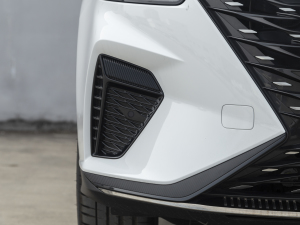 2021PLUS 330TGI ԄӇ ^