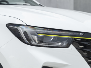 2021PLUS 330TGI ԄӇ ^