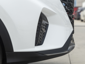 2021PLUS 330TGI ԄӇ ^