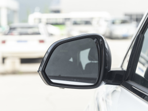 2021PLUS 330TGI ԄӇ ^