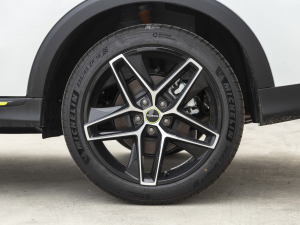 2021PLUS 330TGI ԄӇ ^