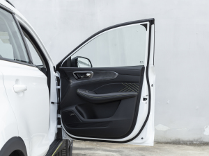 2021PLUS 330TGI ԄӇ g