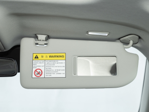 2021PLUS 330TGI ԄӇ g