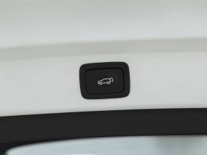 2021PLUS 330TGI ԄӇ g