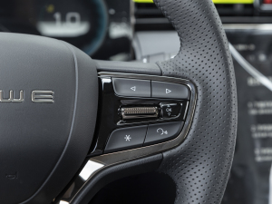 2021PLUS 330TGI ԄӇ п؅^