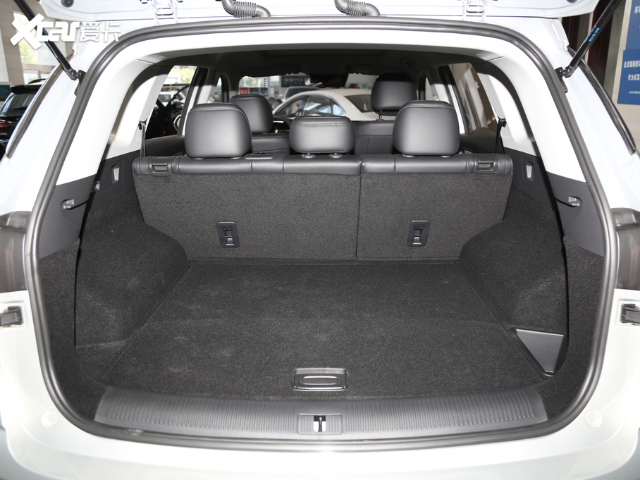 2020sRX5 MAX 300TGI Ԅ{œ