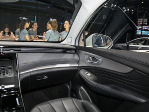 2020300TGI Ԅ{œ п؅^(q)