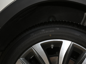 2020300TGI Ԅ{œ ݆̥ߴ