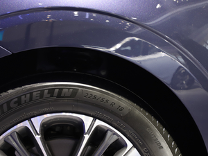 2021400TGI Supremeϵ  ^