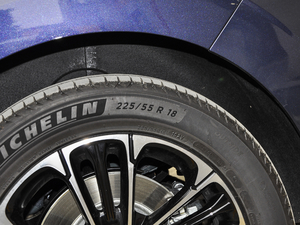 2021400TGI Supremeϵs ݆̥ߴ