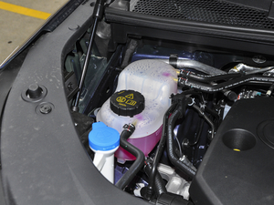 2021400TGI Supremeϵs 