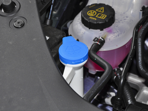 2021400TGI Supremeϵs 